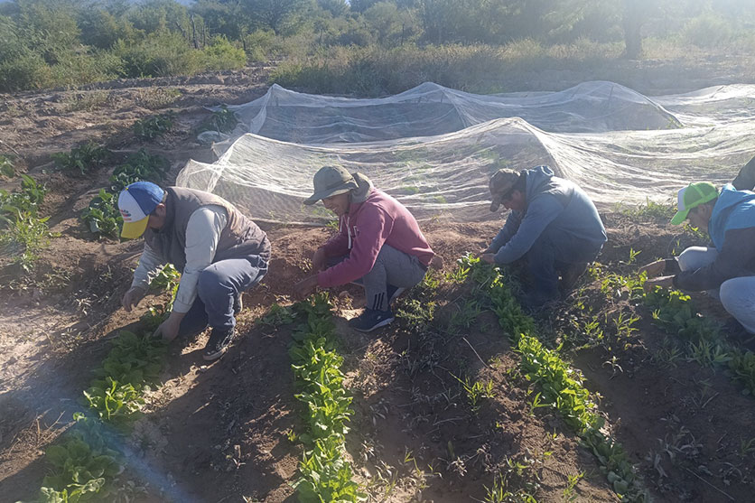 fortalecimiento-de-coop-2