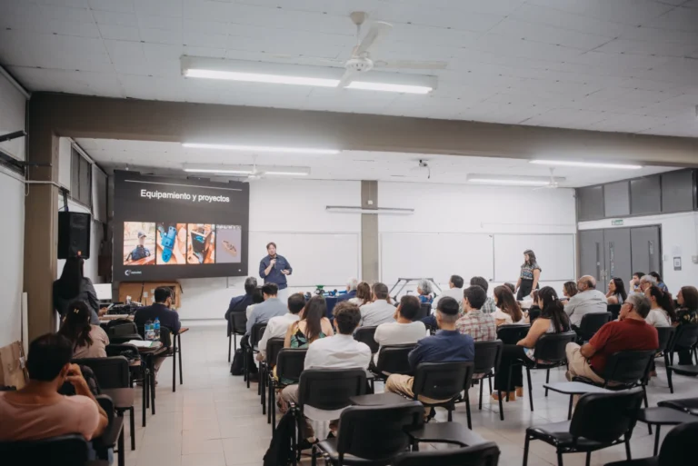 Vicuña - Cierre-Ingenieria-verde